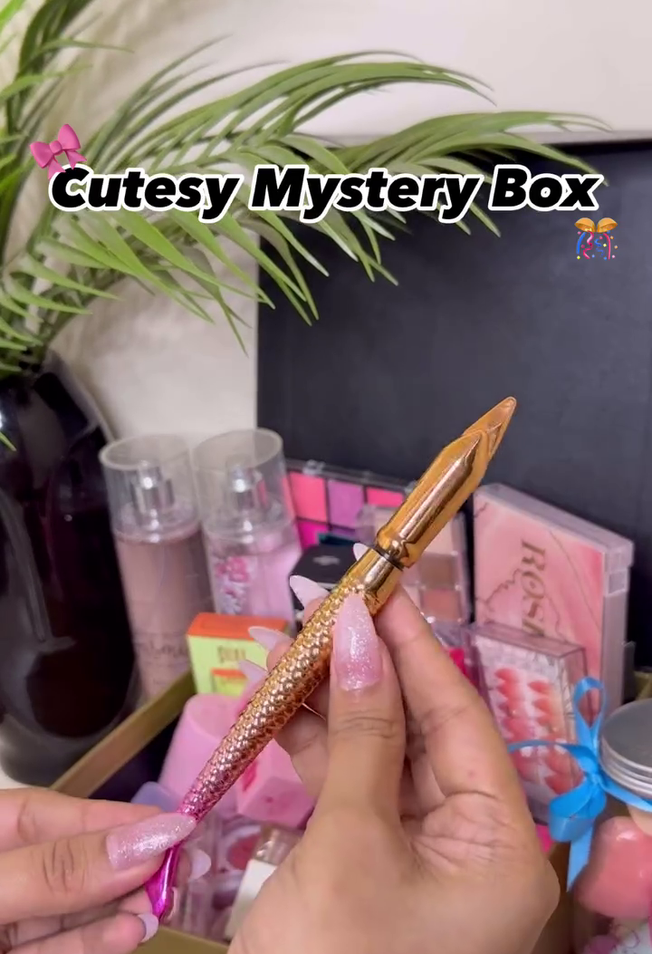Cutesy Glam Mystery Makeup Box SNK SL10 13JAN10