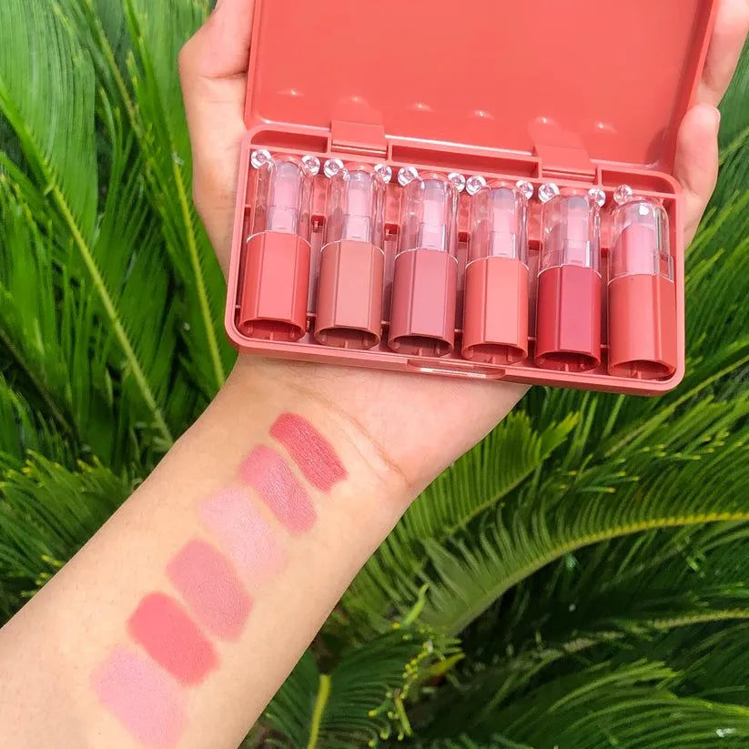 Dhamakaa Exclusive Sale Nude New Mini Matte Lipstick Made in China 6pcs Box NK5(17M)