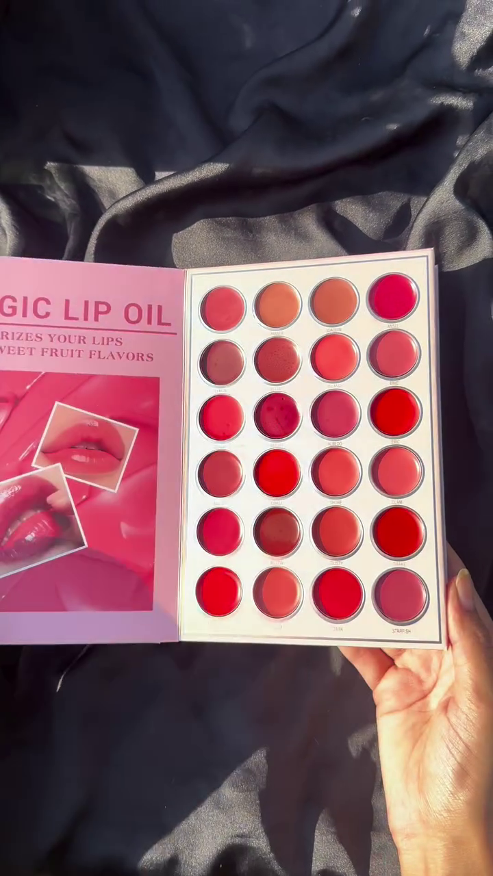 Dhamakaa Exclusive Sale NYLI Professional 5 pages Makeup book Palette Lip color, Highlighter, Blusher, Eyeshadow NK7(17M)