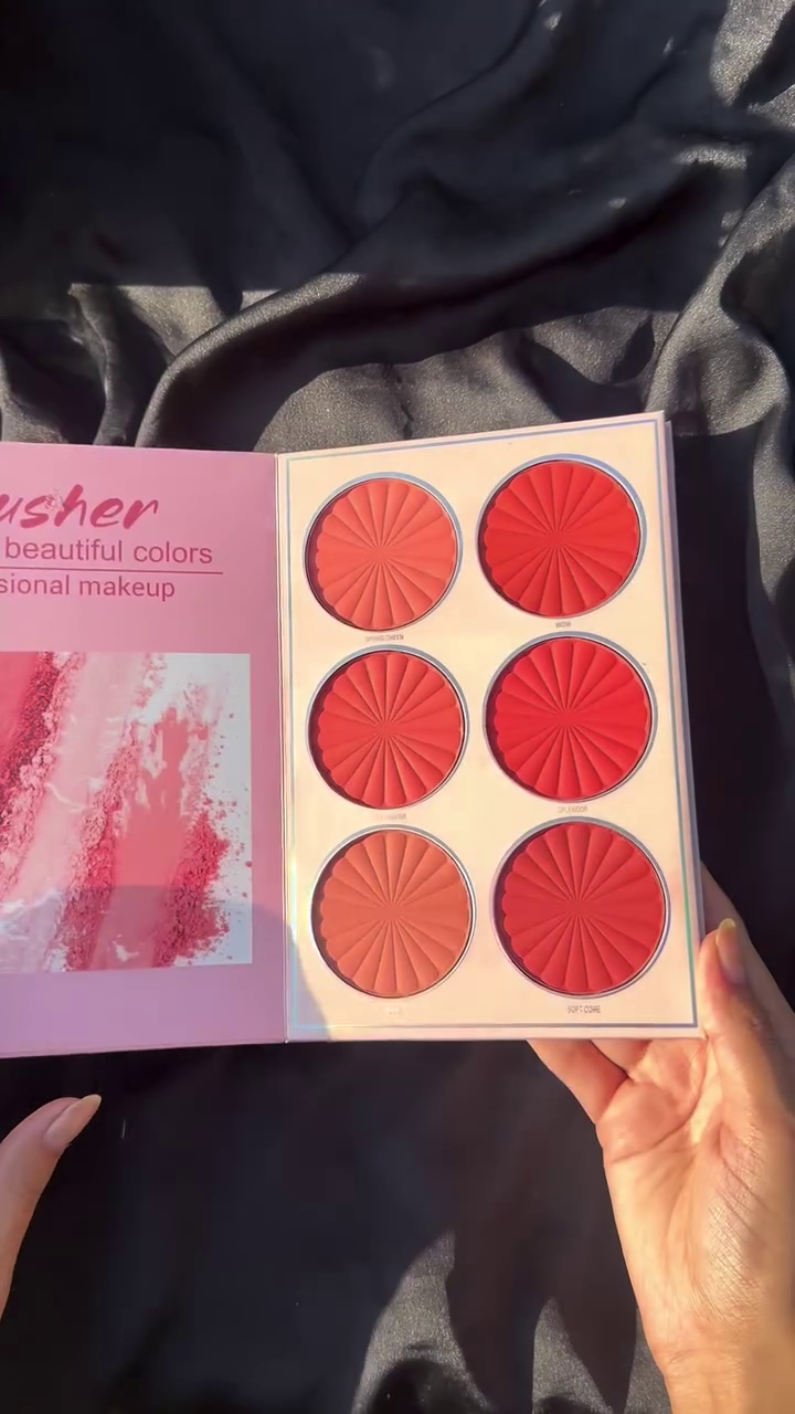 Dhamakaa Exclusive Sale NYLI Professional 5 pages Makeup book Palette Lip color, Highlighter, Blusher, Eyeshadow NK7(17M)